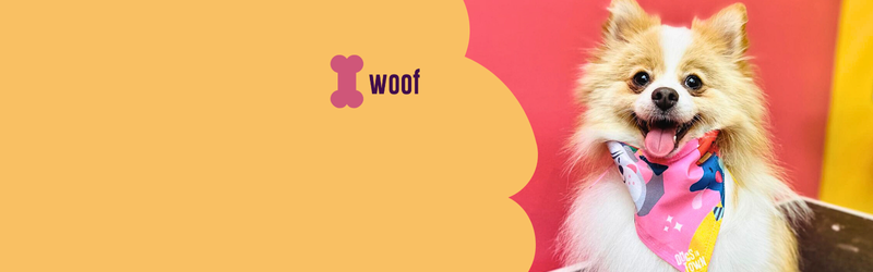 Dogs in Town - Booking